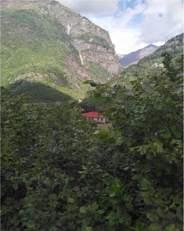 Guest House Malkhaz Niguriani Zhabeshi 외부 사진