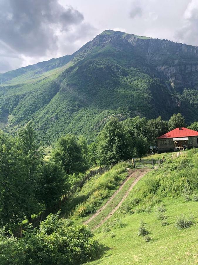 Guest House Malkhaz Niguriani Zhabeshi 외부 사진